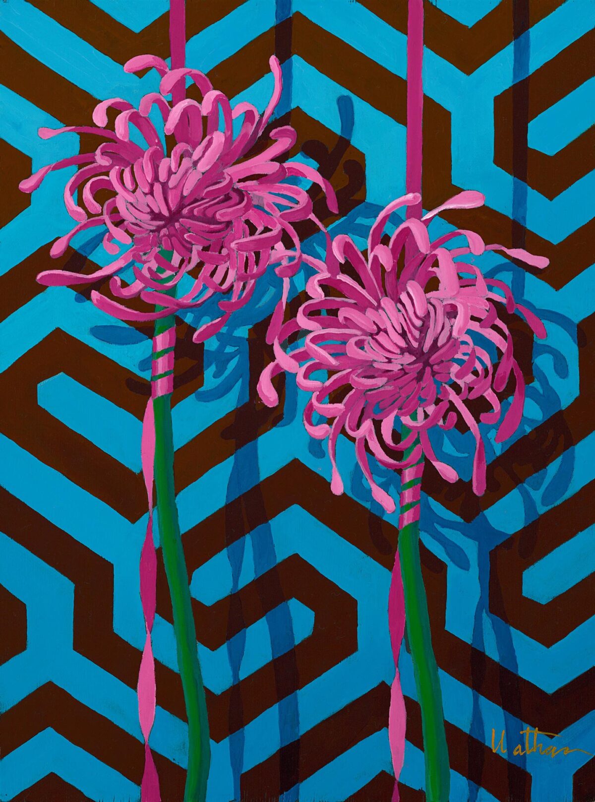 Two Chrysanthemums